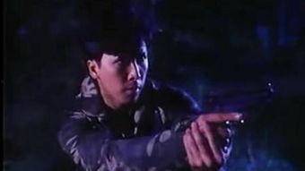 《猎豹行动》在线观看,惊心动魄的跨国追捕之旅  第3张