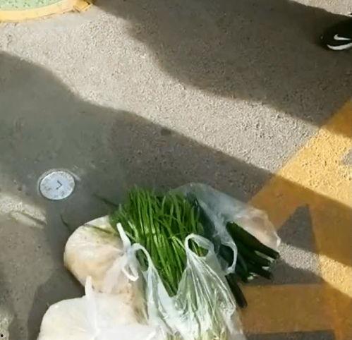 青菜爆料视频大全集最新,揭秘娱乐圈幕后真相  第3张